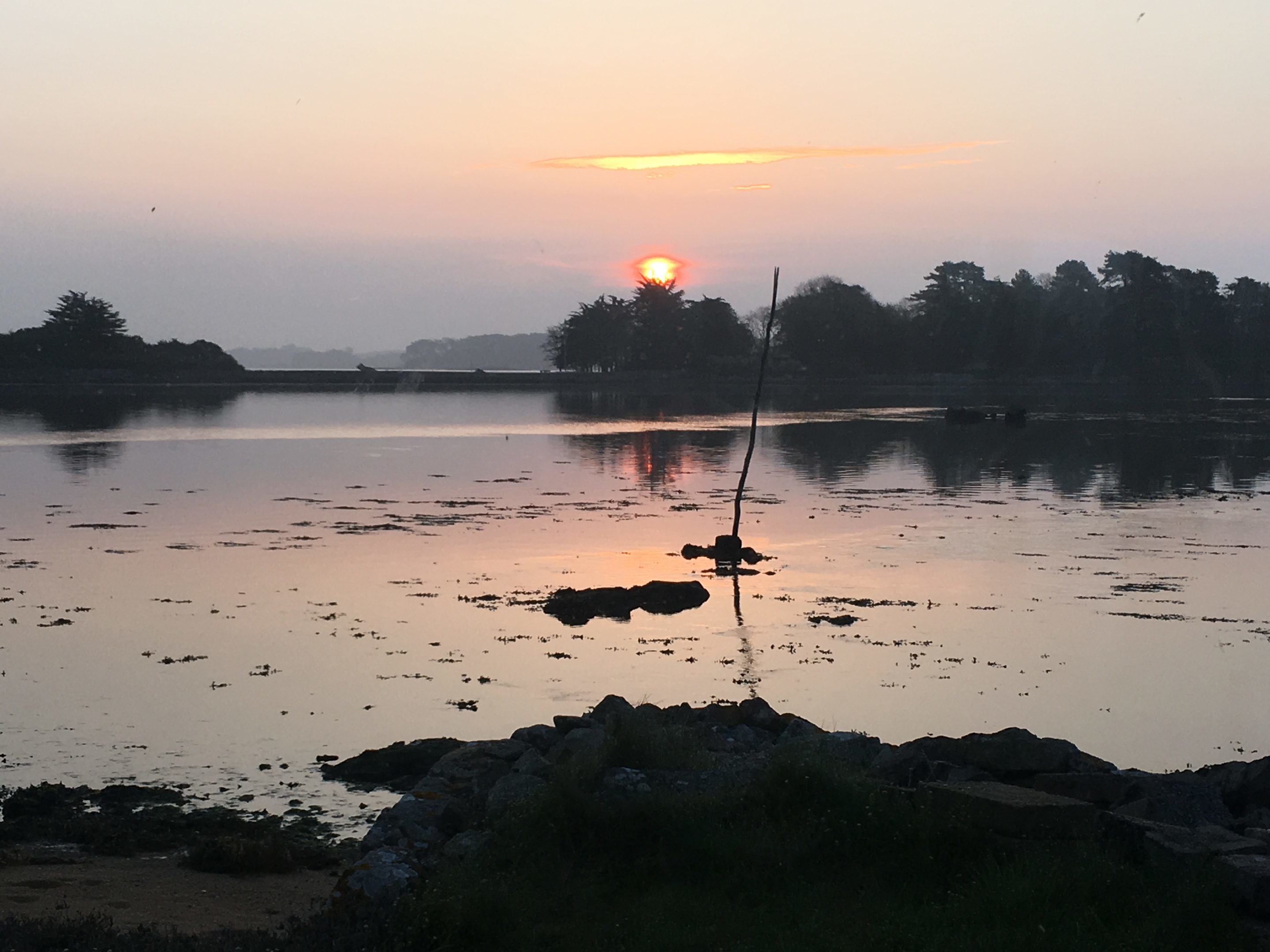 Photo 14-04-2018 07 44 36 natur'Ô Zen stages et conférences