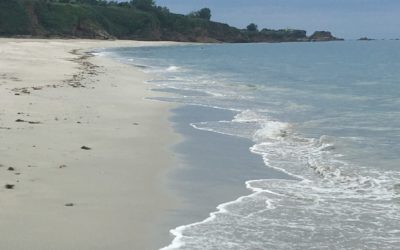 Week End Détox à l’ILE DE GROIX du 11 au 13 Septembre 2020