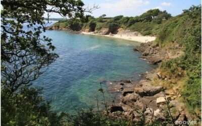 Week End Détox dans la Baie de Concarneau du 16 au 18 septembre 2022